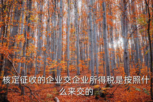 核定稅稅率是按照什么作參照的，稅率按照哪個(gè)來定