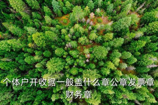 個體戶的定額發(fā)票蓋什么章，個體戶的定額發(fā)票上蓋的個體戶章能用嗎
