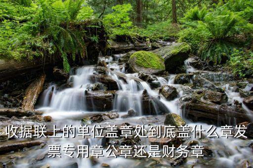 收據上面蓋什么章，收款收據上蓋什么章是財務章還是公章
