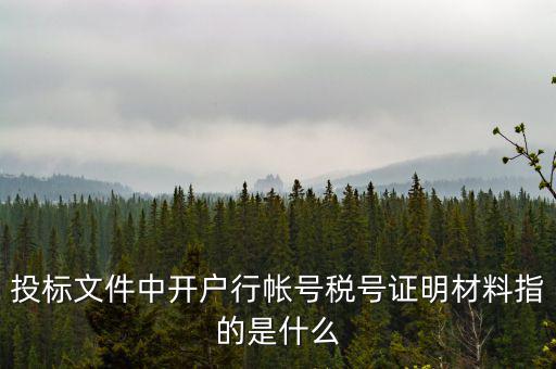 投標(biāo)文件中開(kāi)戶(hù)行帳號(hào)稅號(hào)證明材料指的是什么