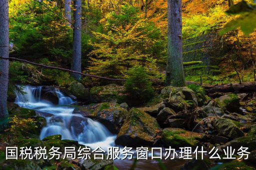 國(guó)稅大廳辦理什么業(yè)務(wù)，辦稅大廳都做些什么事