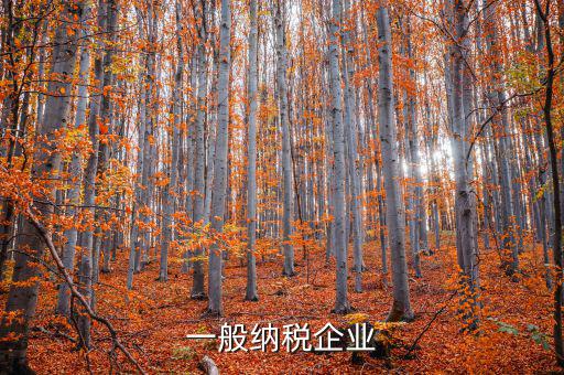 什么是增值稅一般納稅企業(yè)，什么是一般納稅人公司