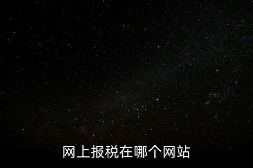 廣西網(wǎng)上辦稅的網(wǎng)址是什么意思，網(wǎng)上報稅在哪個網(wǎng)站
