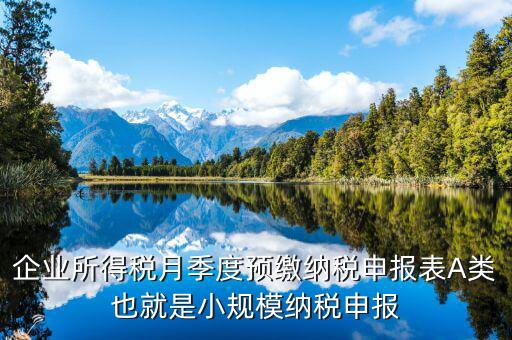 福建預繳申請表什么格式，企業(yè)所得稅月季度預繳納稅申報表A類也就是小規(guī)模納稅申報