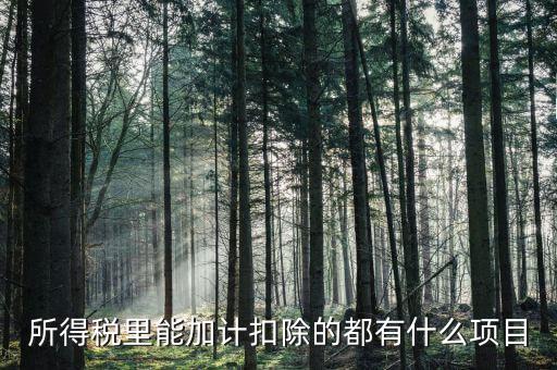 什么企業(yè)加計扣除，人員工資加計扣除政策是什么意思