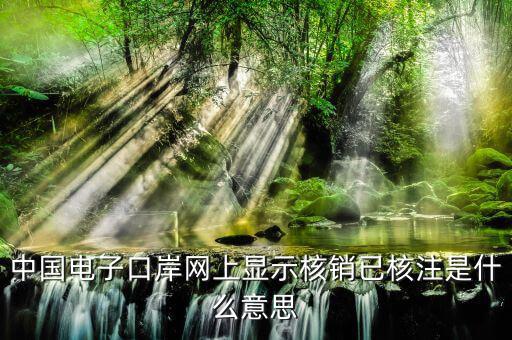 為什么核銷報(bào)驗(yàn)，中國電子口岸網(wǎng)上顯示核銷已核注是什么意思