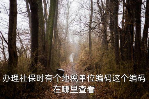 稅務(wù)局編號在什么位置，安康稅務(wù)機關(guān)地區(qū)編號在哪里