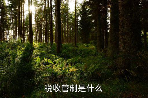 什么叫稅務(wù)管理，稅務(wù)管理屬于大學(xué)什么專業(yè)