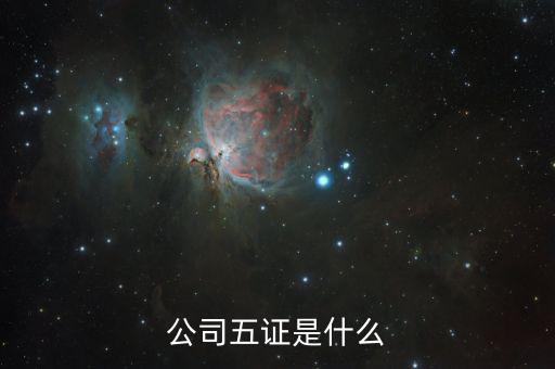 一般納稅人五證是什么意思，一般情況下公司的五證指得都是什么證