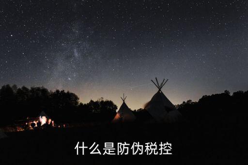 防偽稅控盤什么，什么是防偽稅控