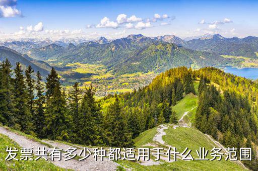 什么業(yè)務(wù)應(yīng)該專業(yè)發(fā)票，單位收費開票1定要專業(yè)的