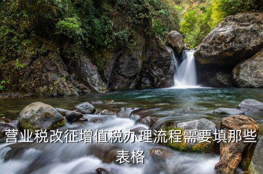 改稅種需要什么資料，營業(yè)稅改征增值稅辦理流程需要填那些表格