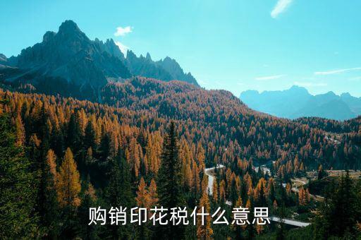 什么是購銷印花稅，購銷印花稅什么意思