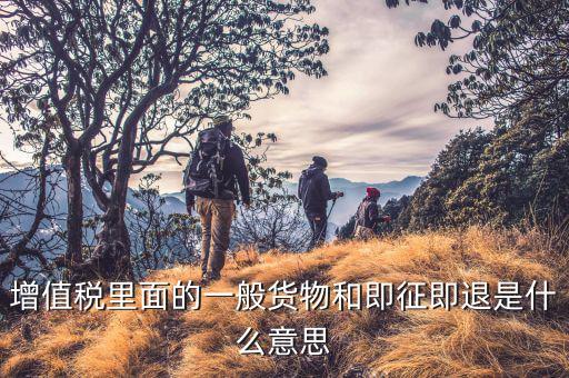 什么叫即征即退政策，增值稅里面的一般貨物和即征即退是什么意思