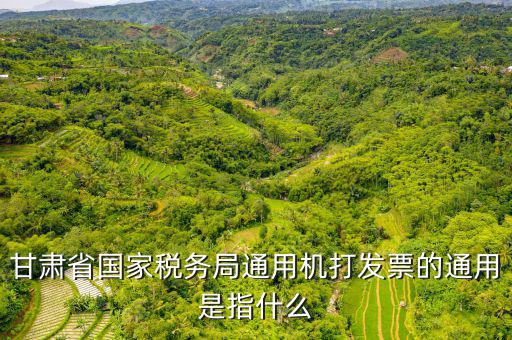 山西省稅務(wù)局六最是指什么，甘肅省國家稅務(wù)局通用機(jī)打發(fā)票的通用是指什么