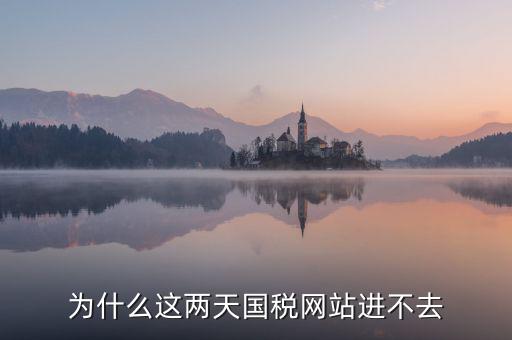 為什么濟(jì)南國稅網(wǎng)站進(jìn)不去，為什么這兩天國稅網(wǎng)站進(jìn)不去