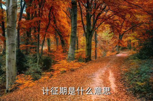 計征單價什么意思，求FOB報價計算方法產品出貨量1000PCS單價70RMB不含稅