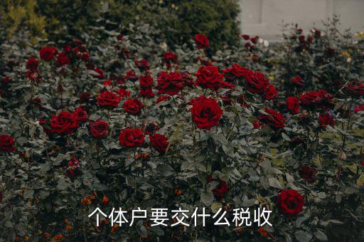 新開(kāi)個(gè)體戶(hù)要交什么稅，我想開(kāi)個(gè)小店當(dāng)個(gè)體戶(hù)請(qǐng)問(wèn)要交什么稅