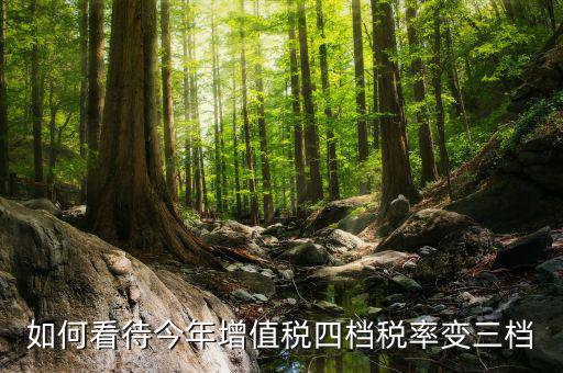 增值稅四檔稅率是什么意思，增值稅發(fā)票開四個(gè)點(diǎn)是什么意思