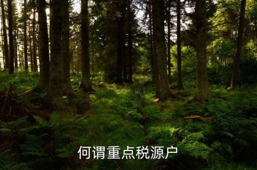 為什么要填重點(diǎn)稅源啊，重點(diǎn)稅源的介紹