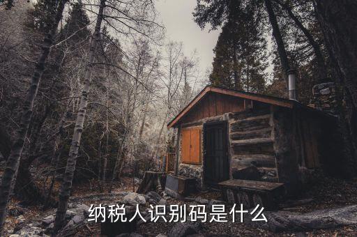 稅務(wù)識(shí)別碼有什么用，納稅人識(shí)別碼是什么