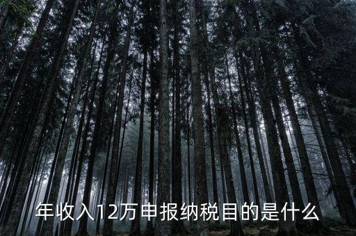 為什么12萬要報稅，年收入12萬個稅申報為什么要申報