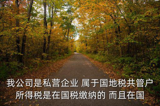 國地共管需要叫什么稅，國稅地稅共管公司都需要每個(gè)月報(bào)稅嗎意思就是說我每個(gè)月地稅