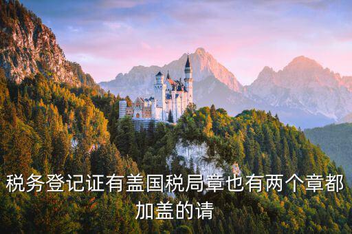 財(cái)稅證書什么樣，娛樂場所稅務(wù)登記證是什么樣子