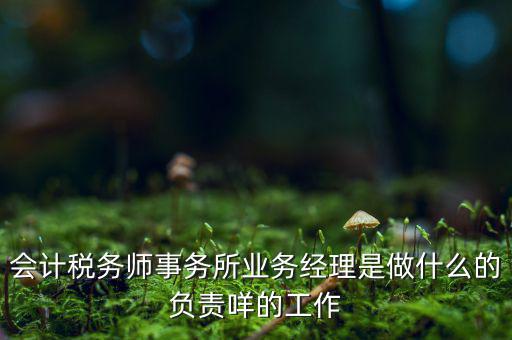 稅務(wù)師事務(wù)所做什么的，稅務(wù)所是干什么的