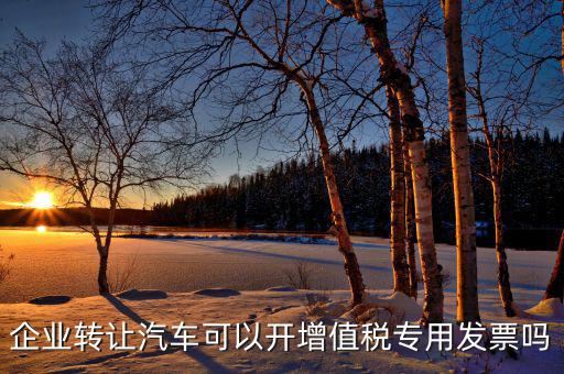 單位二手車轉(zhuǎn)讓未抵稅車開什么票，小企業(yè)出售二手車沒開發(fā)票要付什么憑證