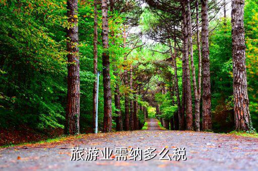 旅游業(yè)是什么稅，旅游行業(yè)需要交納什么稅呢