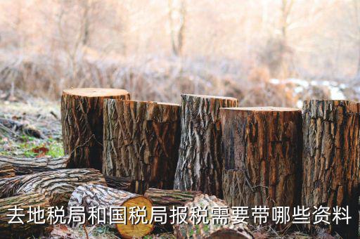 地稅局交稅需要什么，去地稅局繳納營(yíng)業(yè)稅金及附加需要帶什么資料