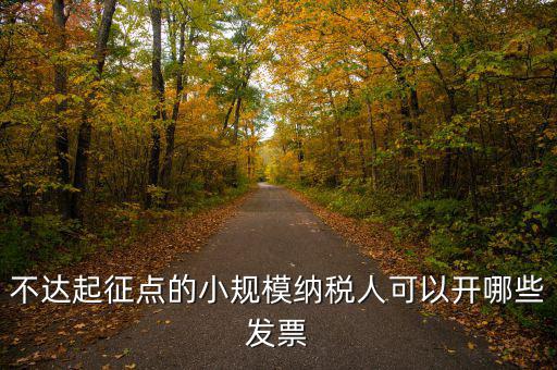 小規(guī)模納稅人能使用什么發(fā)票，建筑類(lèi)小規(guī)模納稅人購(gòu)買(mǎi)什么發(fā)票
