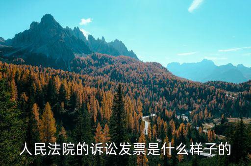 發(fā)票原件是什么樣的，正規(guī)的發(fā)票長什么樣子