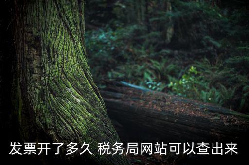 稅局一般什么時(shí)候查發(fā)票，增值稅發(fā)票開(kāi)多久能在國(guó)家稅務(wù)局查到