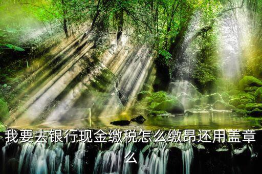 納稅戶銀行交稅除了蓋章還要什么，打印出表來后銀行會(huì)直接扣稅么然后還要帶著打出來的表去稅務(wù)