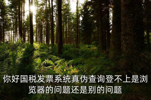 新疆國(guó)稅發(fā)票查詢(xún)?yōu)槭裁催M(jìn)不去，為什么國(guó)稅官網(wǎng)中電子發(fā)票查詢(xún)打不開(kāi)