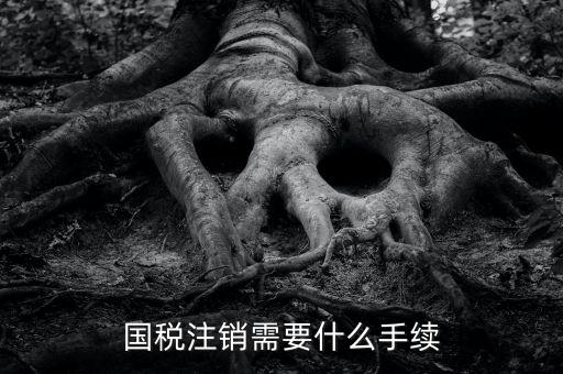 國稅局注銷要什么手續(xù)，國稅注銷需要什么手續(xù)