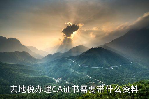 地稅ca帶什么，去地稅簽三方協(xié)議需要以下東西第四個CA是什么意思啊
