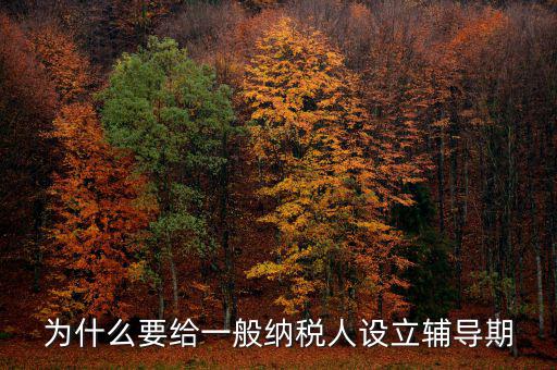 為什么增值稅輔導期，什么是輔導期一般納稅人