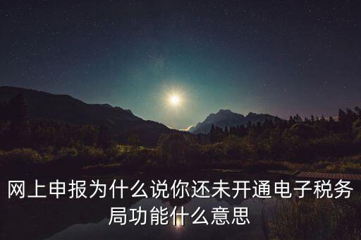 電子稅務(wù)局是干什么，企業(yè)金稅盤系統(tǒng)用來開票抄稅報(bào)稅用那登錄國稅地稅局網(wǎng)站是干嘛的