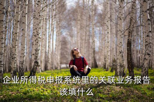 什么情況寫關(guān)聯(lián)申報，企業(yè)所得稅申報系統(tǒng)里的關(guān)聯(lián)業(yè)務(wù)報告該填什么