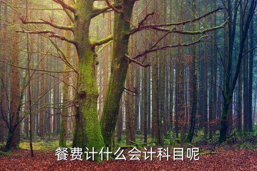 研發(fā)人員的餐費計入什么科目，餐費計什么會計科目呢