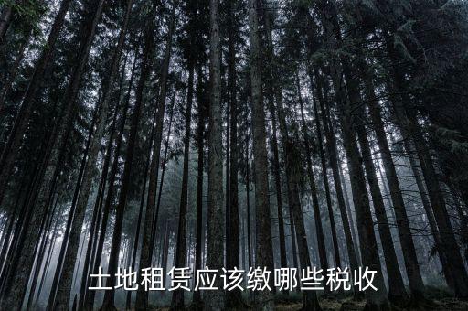 土地租賃需要交什么稅，土地租賃應該繳哪些稅收
