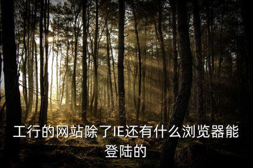 開票登陸的瀏覽器是什么，工行的網(wǎng)站除了IE還有什么瀏覽器能登陸的