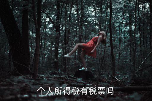 個人所得稅是什么發(fā)票，個人所得稅有稅票嗎