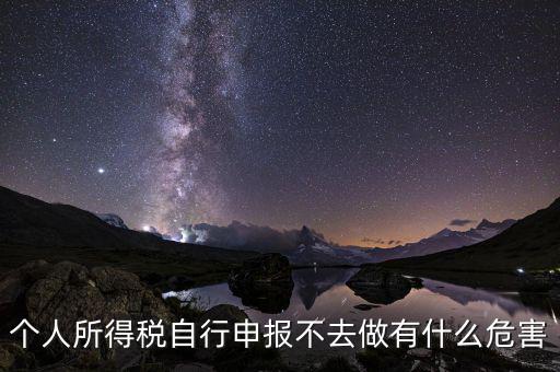 個稅不申報有什么后果，個人所得稅自行申報不去做有什么危害