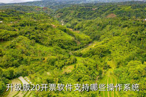 開票軟件適用什么系統(tǒng)，有沒有適合電商用的發(fā)票處理系統(tǒng)