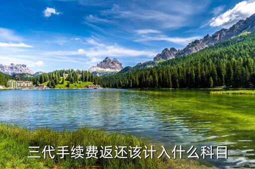 什么叫三代手續(xù)費(fèi)，三代手續(xù)費(fèi)返還該計入什么科目