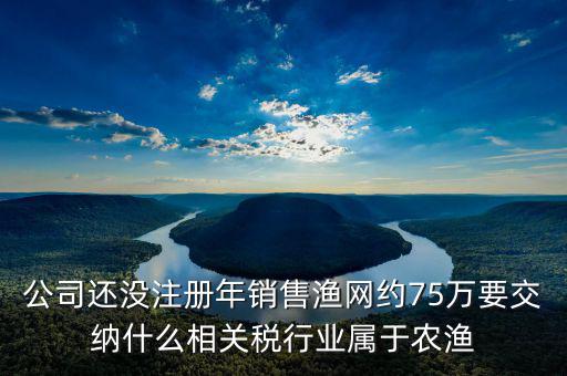 公司還沒(méi)注冊(cè)年銷(xiāo)售漁網(wǎng)約75萬(wàn)要交納什么相關(guān)稅行業(yè)屬于農(nóng)漁